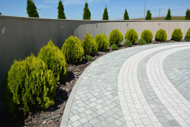 Best Best Driveway Pavers  in Robbins, IL